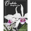 Orchids Through Our Eyes - Paperback