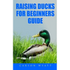 Raising Ducks for Beginners Guide - Paperback