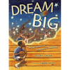 Dream Big: Michael Jordan and the Pursuit of Excellence - Paperback