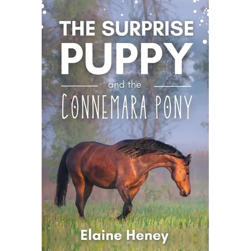 The Surprise Puppy and the Connemara Pony - The Coral Cove Horses Series - Paperback