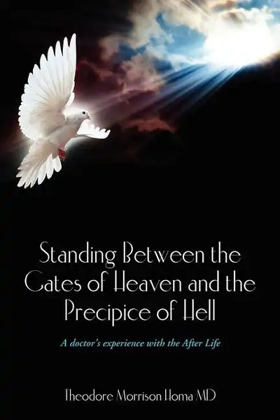 Standing Between the Gates of Heaven and the Precipice of Hell: A doctor's experience with the After Life - Paperback