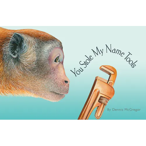 You Stole My Name: Tools: A Rhyming Book of Tools & Animals That Sound Alike - Hardcover