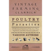 Poultry Parasites - A Collection of Articles on Ticks, Lice, Fleas, Tapeworm and Other Parasites of Poultry - Paperback