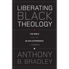 Liberating Black Theology: The Bible and the Black Experience in America - Paperback