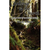 Challenge to the Church - Paperback
