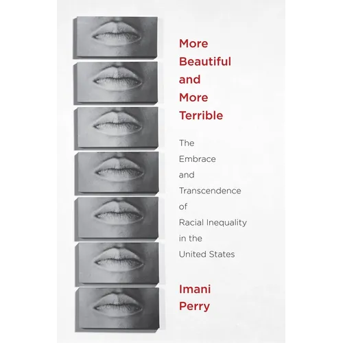 More Beautiful and More Terrible: The Embrace and Transcendence of Racial Inequality in the United States - Paperback