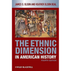 Ethnic Dimension in American H - Paperback
