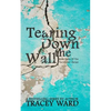 Tearing Down the Wall - Paperback