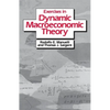 Excercises in Dynamic Macroeconomic Theory - Paperback