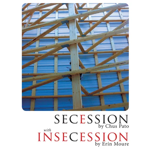 Secession/Insecession - Paperback