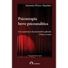 Psicoterapia breve psicoanalítica: Una experiencia de psicoanálisis aplicado. Clínica y teoría - Paperback