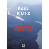 A Nine-Year-Old Aviator - Paperback