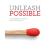 Unleash Possible: A Marketing Playbook That Drives B2B Sales - Paperback
