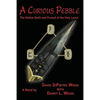 A Curious Pebble: The Hollow Earth and Pursuit of the Holy Lance - Paperback