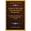 A Guide To The Twelve Tissue Remedies Of Biochemistry: The Cell-Salts, Biochemic, Or Schuessler Remedies (1909) - Paperback