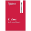 El túnel de Ernesto Sábato (Guía de lectura): Resumen y análisis completo - Paperback