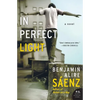 In Perfect Light - Paperback