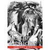 The Celtic Druids - Paperback