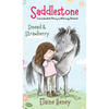 Saddlestone Connemara Pony Listening School Sinead and Strawberry - Hardcover