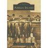 Amelia Island - Paperback