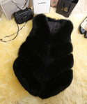 Faux Fur Sleeveless Vest Winter Thick Coats Women 2022 New Fashion Casual Jacket Warm Slim  Outerwear Women Winter Vest