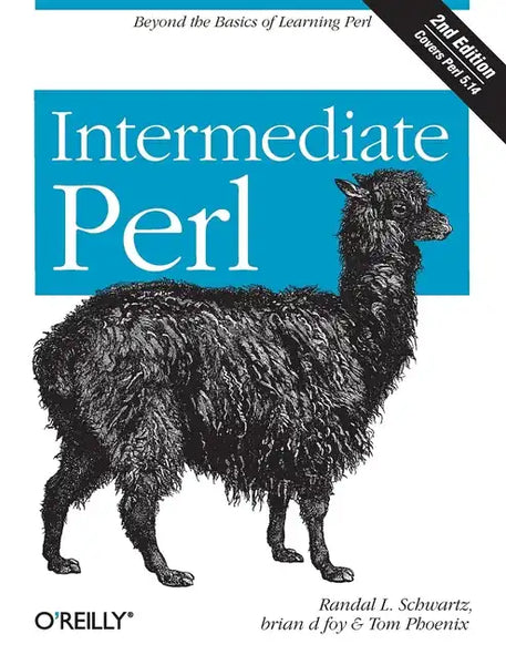 Intermediate Perl: Beyond the Basics of Learning Perl - Paperback