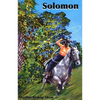 Solomon - Paperback