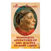 Wonderful Adventures of Mrs. Seacole in Many Lands: Memoirs of Britain's Greatest Black Heroine, Business Woman & Crimean War Nurse - Paperback