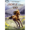 A Horse Named Sky - Paperback