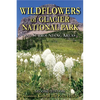 Wildflowers of Glacier National Park: And Surrounding Areas - Paperback