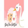 Baby Shower Guest Book: Stork Delivers Baby Girl Pink - Baby Shower Party Guest Book Gift For Family & Friends & Guests To Sign and Leave Their Best M - Paperback