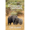 The Avoidable Orphan: a Child of Africa Story - Paperback