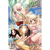 Dr. Stone, Vol. 13: Science Wars - Paperback