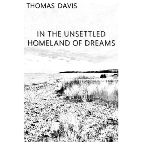 In the Unsettled Homeland of Dreams - Paperback