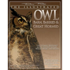 Illustrated Owl: Barn, Barred & Great Horned: The Ultimate Reference Guide for Bird Lovers, Artists, & Woodcarvers - Paperback