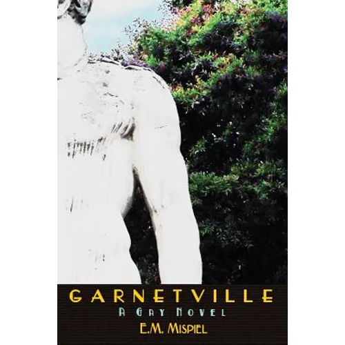 Garnetville: A Gay Novel - Paperback