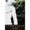 Garnetville: A Gay Novel - Paperback