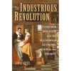 The Industrious Revolution: Consumer Behavior and the Household Economy, 1650 to the Present - Paperback