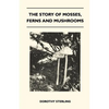 The Story Of Mosses, Ferns And Mushrooms - Paperback