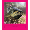 Elemental: Earth Stories - Paperback