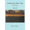 Looking the Other Way - Paperback