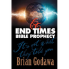 End Times Bible Prophecy: It's Not What They Told You - Paperback