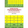 Horse Racing: The Statistical Route 2 - Paperback