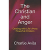 The Christian and Anger: Dealing with Life's Most Powerful Emotion - Paperback