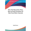 How The Hierarchies Were Busy In Early Formation Of Man From Below Upwards - Hardcover