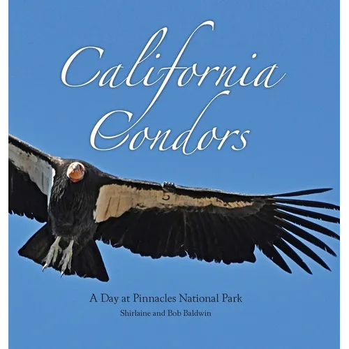 California Condors: A Day at Pinnacles National Park - Hardcover