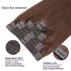 Silky Straight Clip Ins