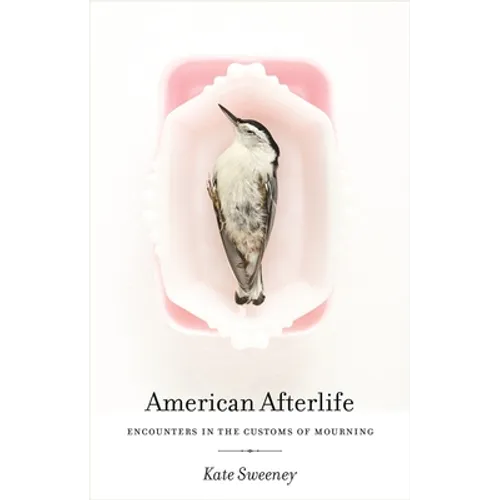 American Afterlife: Encounters in the Customs of Mourning - Hardcover
