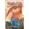 Gods of Ash and Amber - Paperback