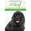 Dog Named Leaf: The Hero from Heaven Who Saved My Life - Paperback